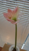 IMG_20160129_152756