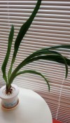 IMG_20160723_140427