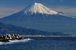 山