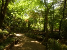 arisugawa